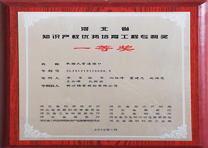 河北省知識産(chan)權優(you)勢(shi)培育工(gong)程(cheng)專(zhuan)利獎